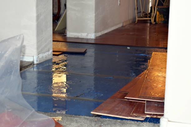 Professional Water Damage Restoration technician working in Reva, VA